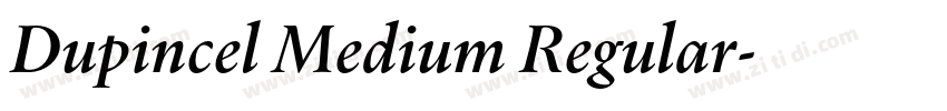 Dupincel Medium Regular字体转换